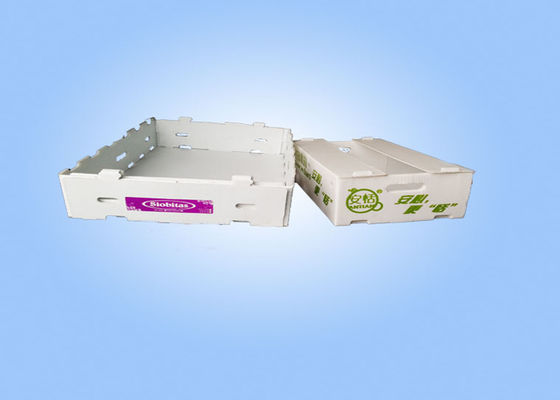 Caixas de armazenamento plásticas onduladas recicláveis de Corflute das caixas de armazenamento